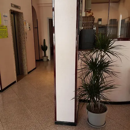 Ceccarini 9 Riccione