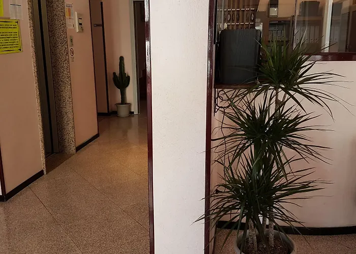 Ceccarini 9 Riccione