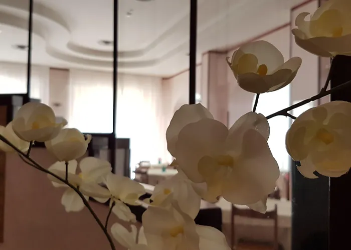 Ceccarini 9 Hotel 4*