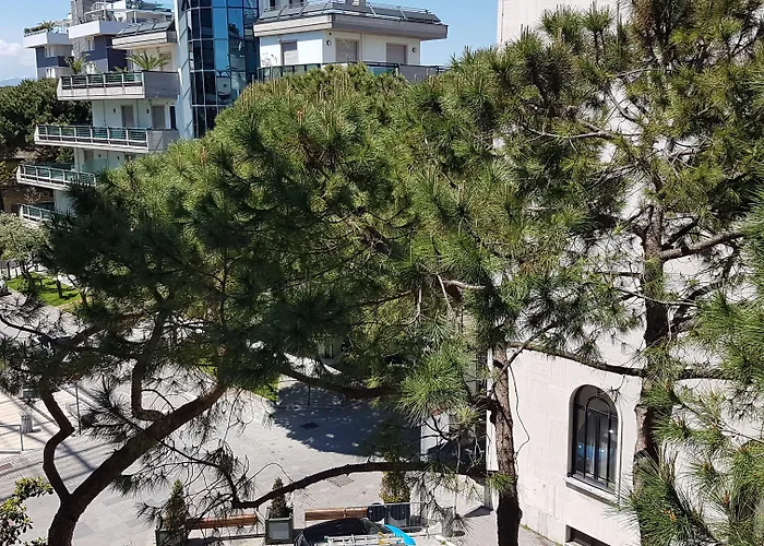 Ceccarini 9 Hotel 4*