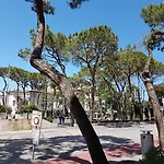 Ceccarini 9 Riccione