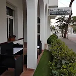 Ceccarini 9