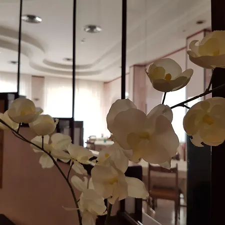 Ceccarini 9 Szálloda 4*