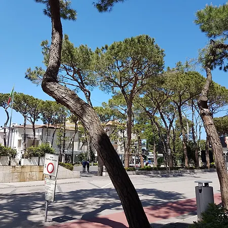 Ceccarini 9 Riccione