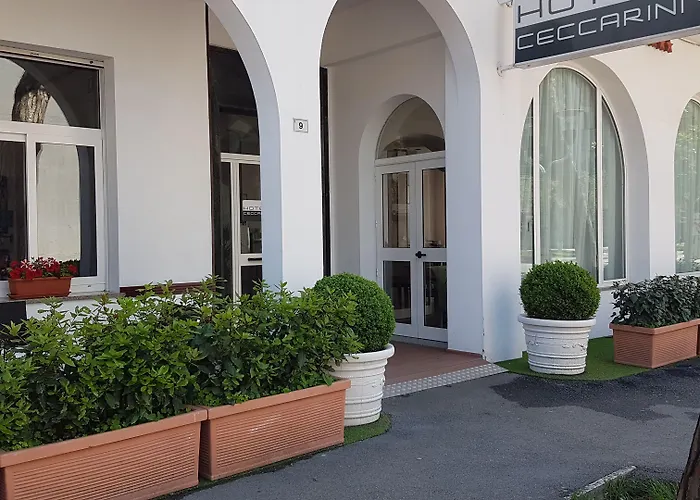 Ceccarini 9 Hotel 4*