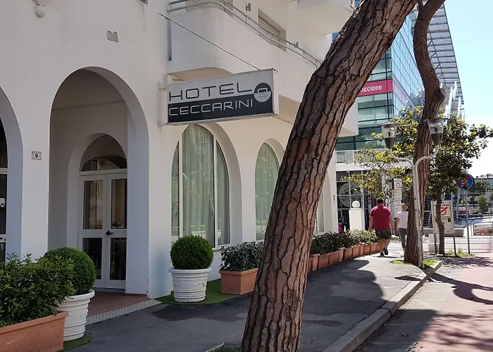 Ceccarini 9 4* Riccione